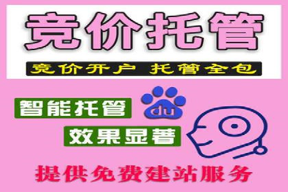 成功案例：SEM推广竞价代运营助力企业转型